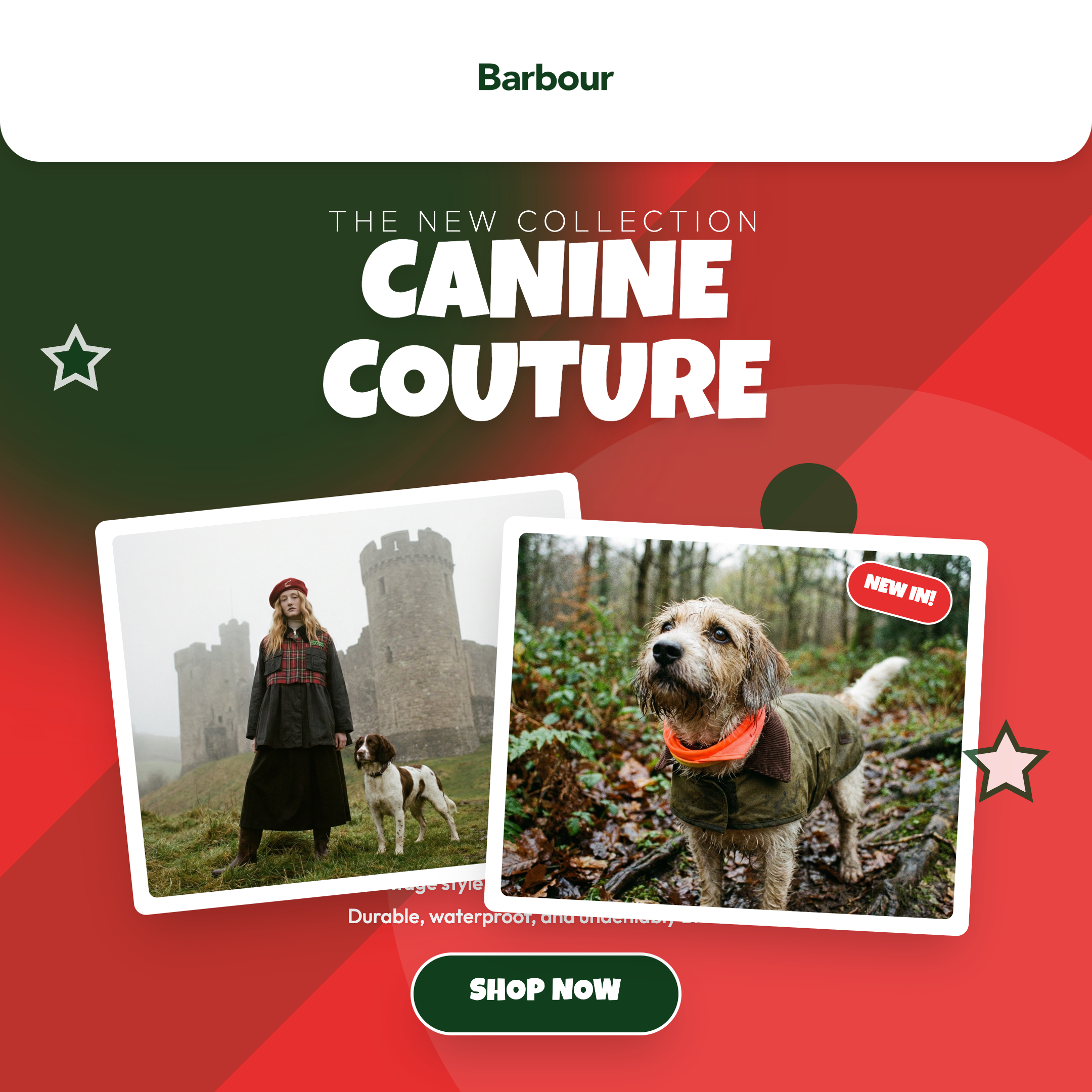 Instagram ad — huisdier collectie lancering